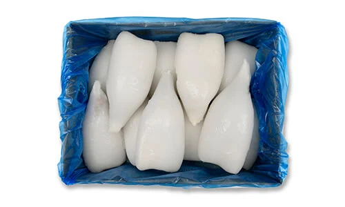 PESCANOVA 11