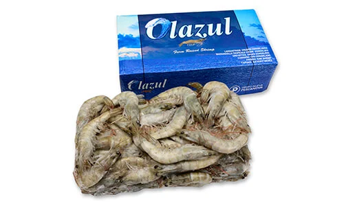 PESCANOVA 27