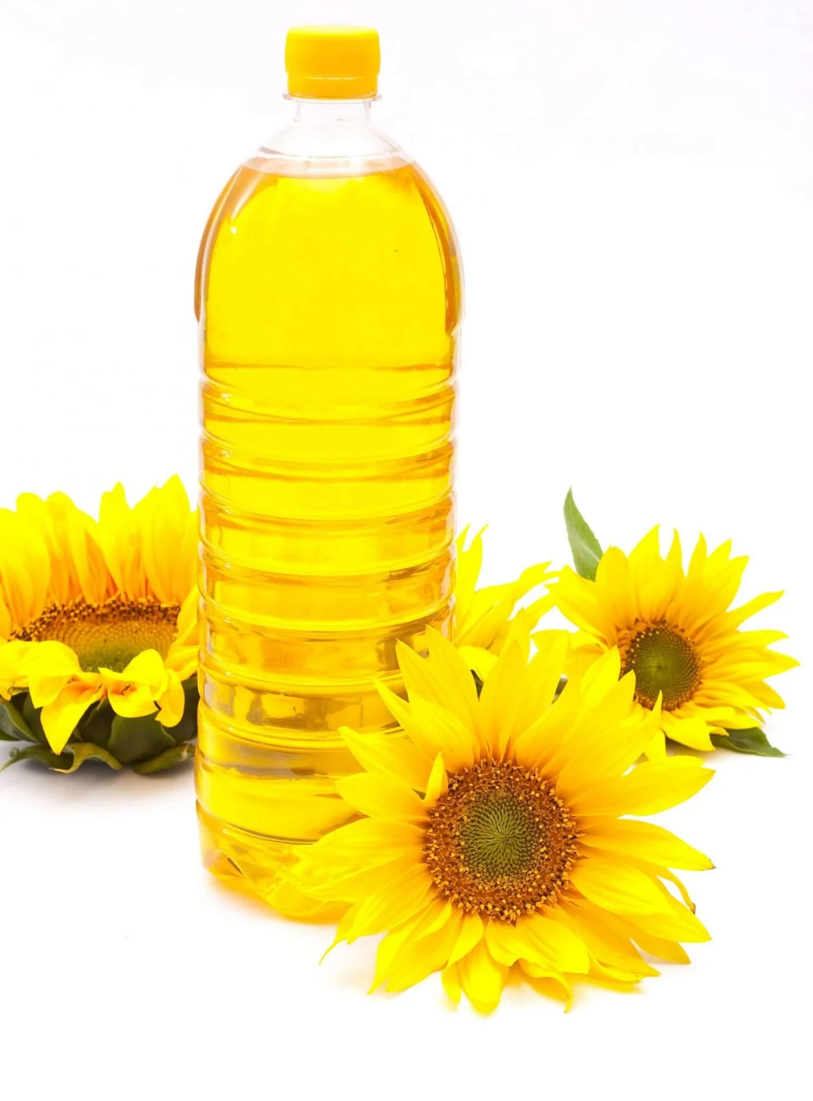 sunflower scaled